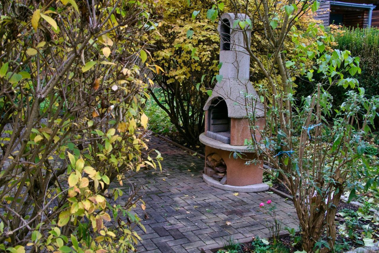 Accommodatie bij particulieren Mycozyplace - Gemuetliches Fuer Zwei Dresden